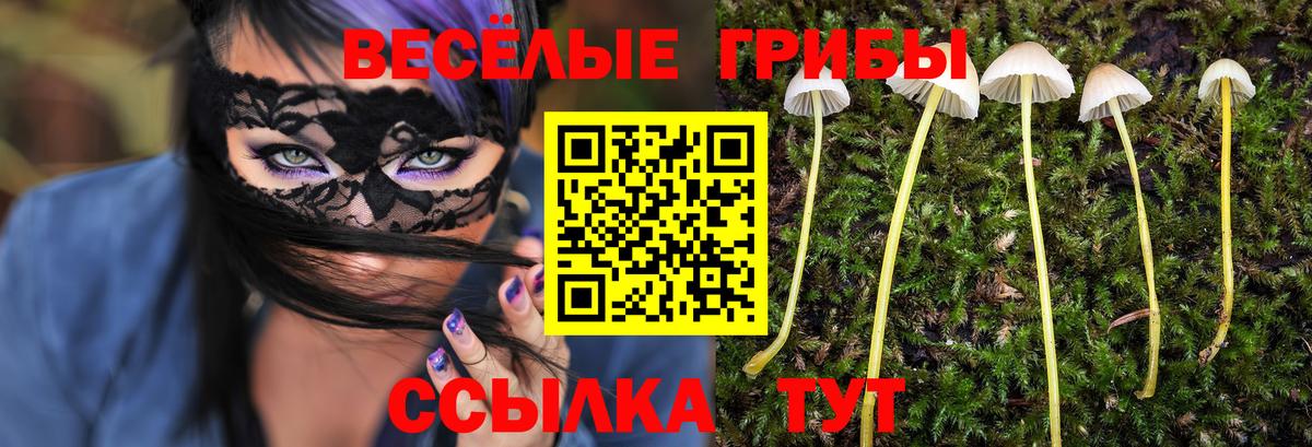 Галлюциногенные грибы Cubensis Нефтекамск