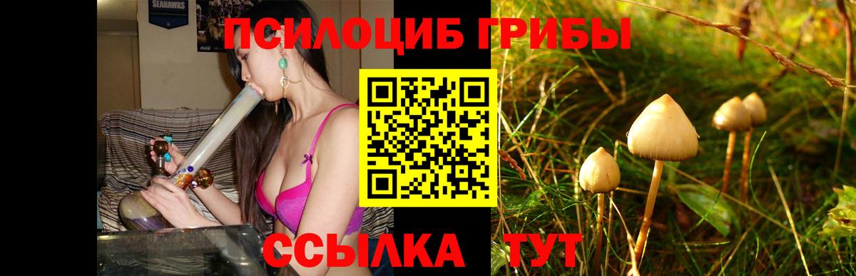 Нефтекамск  Галлюциногенные грибы мицелий  Вход с VPN 